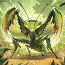极品螳螂 v2.0.5最新版