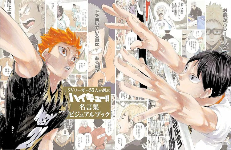 《排球少年!!》名言视觉书作为《Sportiva》杂志附录发售-cos扮之狐狸-二次元游戏知识平台