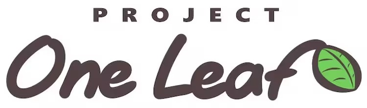 《OneRoom》系列新作项目“PROJECTOneLeaf”启动-cos扮之狐狸