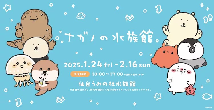 纳加诺×仙台うみの杜水族馆合作推出众多周边商品-cos扮之狐狸-二次元游戏知识平台