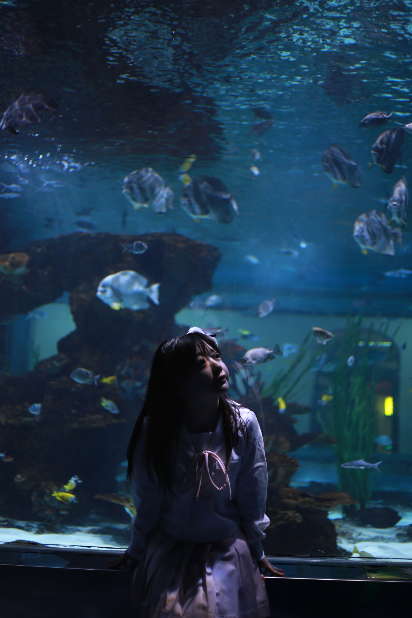 jk制服水族馆写真-cos扮之狐狸-二次元游戏知识平台