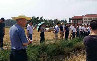 危房鉴定标准详解